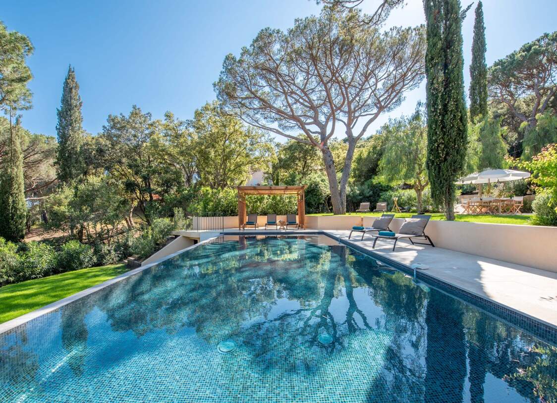 Piscine à débordement chauffée surplombant la canopée